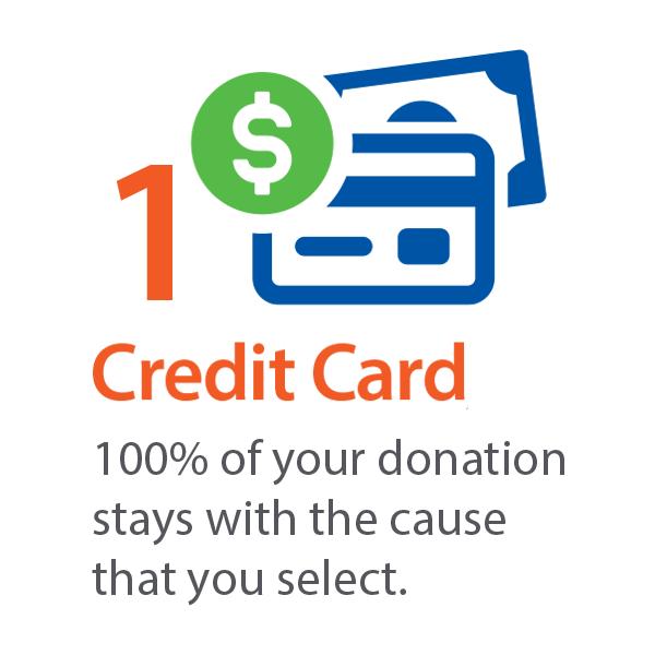 Annual Appeal Credit Cash Icon 1